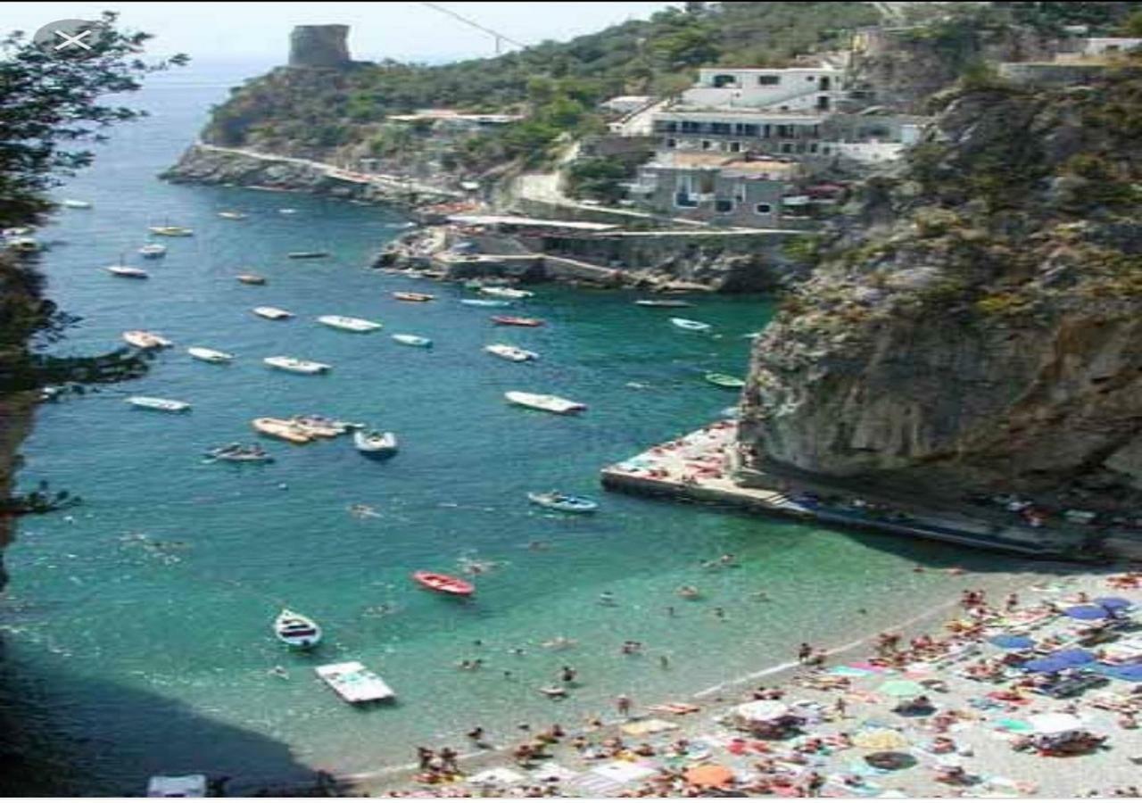 La Limonaia E La Praia Praiano Eksteriør billede
